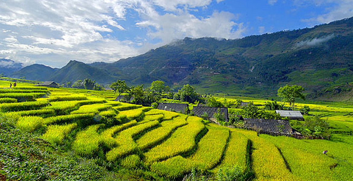 Discover The Best Of Sapa